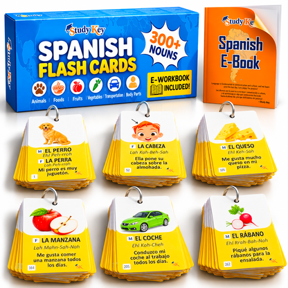 Spanish Vocabulary Flash Cards