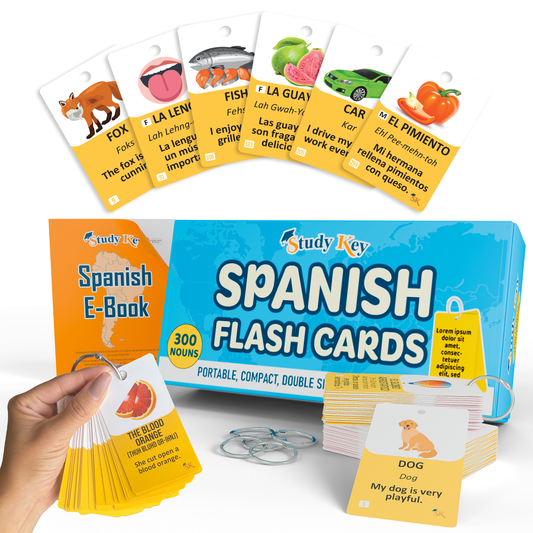 Spanish Noun Vocabulary